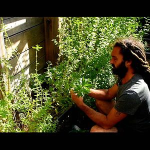 Photo Permaculture en France, un Art de vivre pour demain