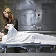 Photo Body Of Proof