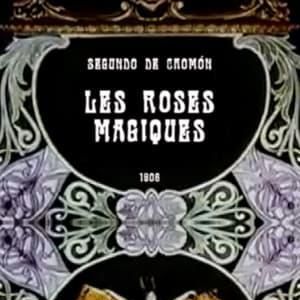 Photo Les Roses magiques