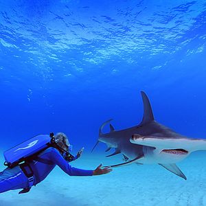 Photo Wonders of the Sea 3D