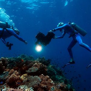 Photo Wonders of the Sea 3D
