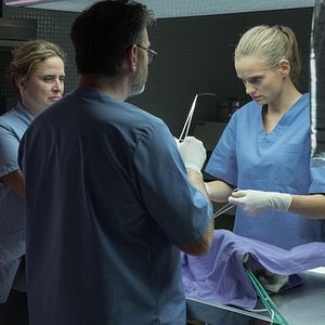 Photo Sarah Le Picard