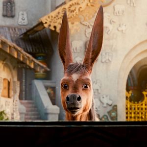 Photo Le royaume magique