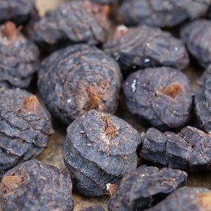 Photo La Ferme qui soigne