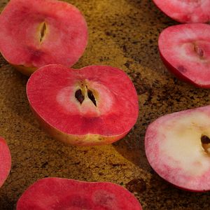 Photo La Ferme qui soigne