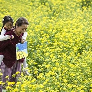 Photo Canola