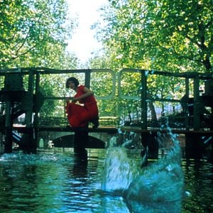 Photo Le Fabuleux destin d'Amélie Poulain