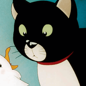 Photo La Mouette et le chat
