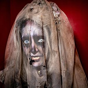 Photo Wellington Paranormal