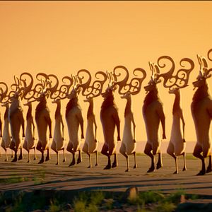 Photo Riverdance : L'aventure animée