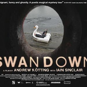 Photo Swandown