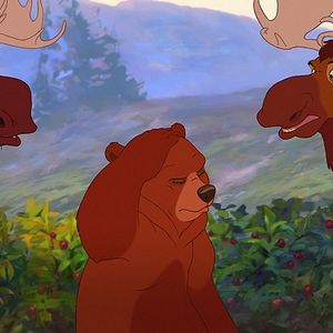 Photo Frère des ours 2