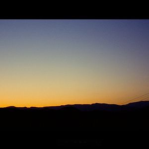 Photo Rushlights