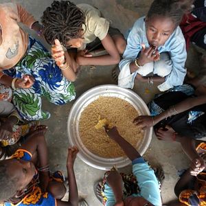 Photo Grand comme le Baobab