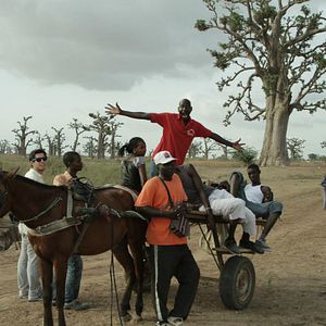 Photo Grand comme le Baobab