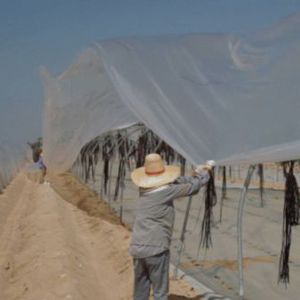 Photo La La plaine de Sodome