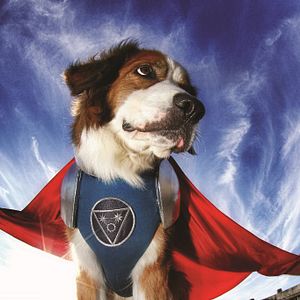 Photo Les Copains Super-Héros