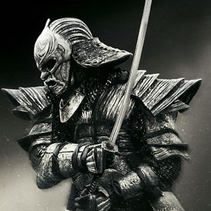 Photo 47 Ronin
