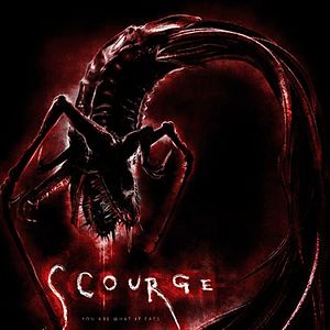 Photo Scourge