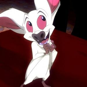 Photo Bartok le Magnifique