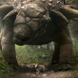 Photo Sur la terre des dinosaures, le film 3D