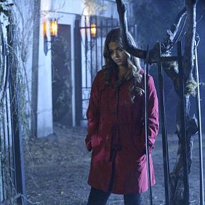 Photo Sasha Pieterse