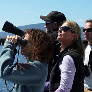 Photo Blackfish