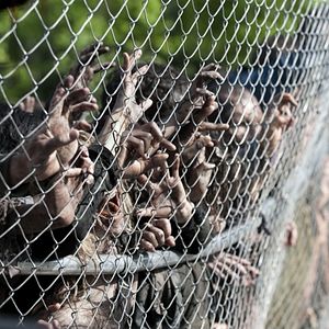 Photo The Walking Dead
