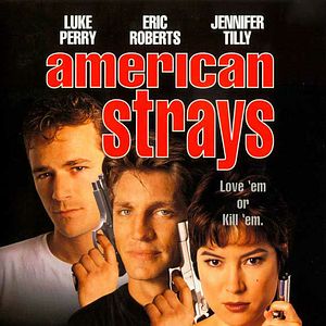 Photo American Strays