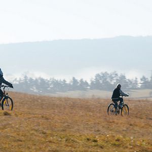 Photo Kopfüber