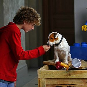 Photo Pancho, le chien millionnaire