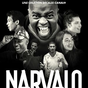Photo Narvalo : nouvelles galères
