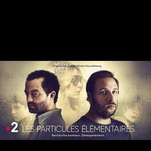 Photo Les Particules élémentaires