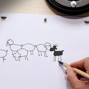 Photo Pas pareil... et pourtant !