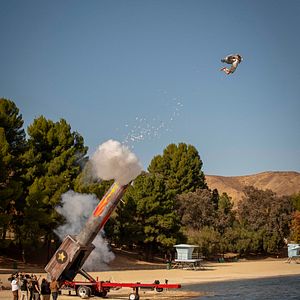 Photo jackass forever