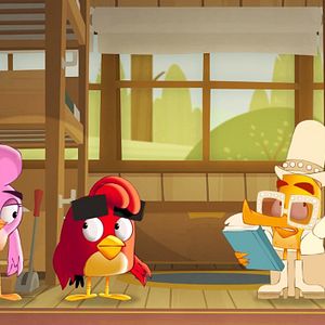 Photo Angry Birds : Un été déjanté