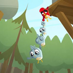 Photo Angry Birds : Un été déjanté