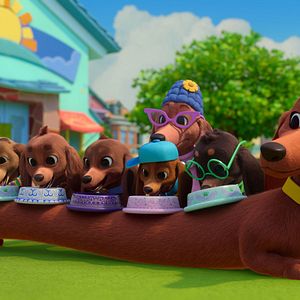 Photo Bretzel et les bébés chiens