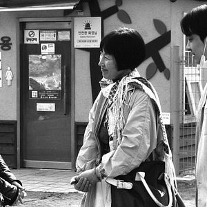 Photo La Romancière, le film et le heureux hasard