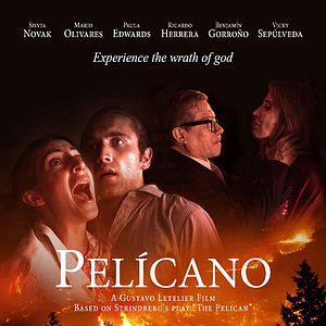 Photo Pelícano