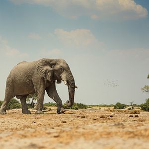 Photo Survivre au paradis : Une histoire de famille