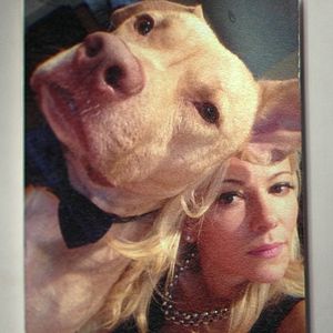 Photo Bad Vegan : Arnaque au menu