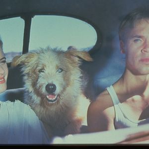 Photo Kristy Swanson