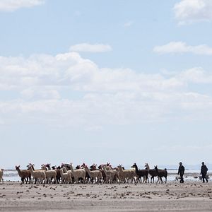 Photo Utama : La Terre Oubliée