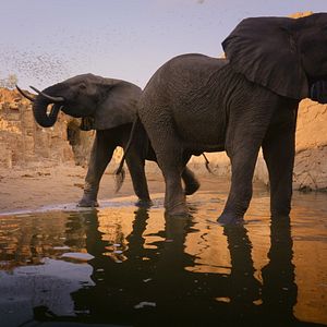 Photo Parcs nationaux : Ces merveilles du monde