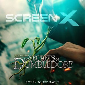 Photo Les Animaux Fantastiques : les Secrets de Dumbledore