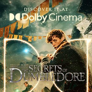 Photo Les Animaux Fantastiques : les Secrets de Dumbledore