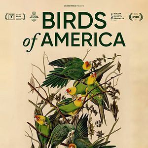 Photo Birds of America