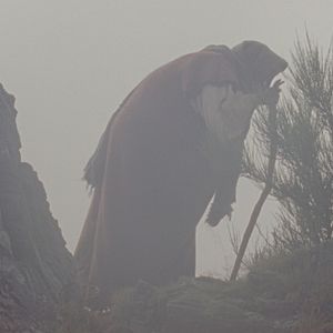 Photo Elsa Wolliaston