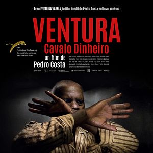 Photo Ventura